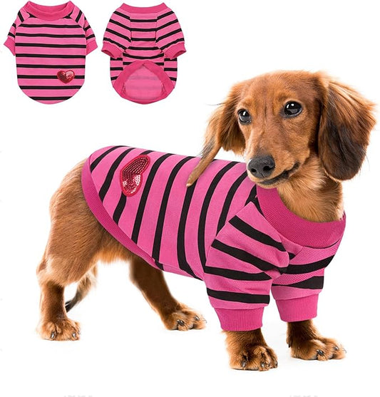 Queenmore Medium Dog Shirt,Soft Breathable Dog Shirt for Dogs Cats Boy Girl,Pet Clothes for All Season,Breathable Lightweight Pet Tshirt for Frenchie, Dachshund, Yorkie