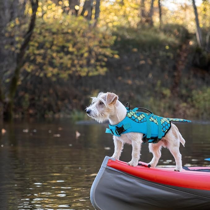 Queenmore Mermaid Dog Life Jacket - Lightweight Dog Swimming Vest, High Buoyant, Blue, L