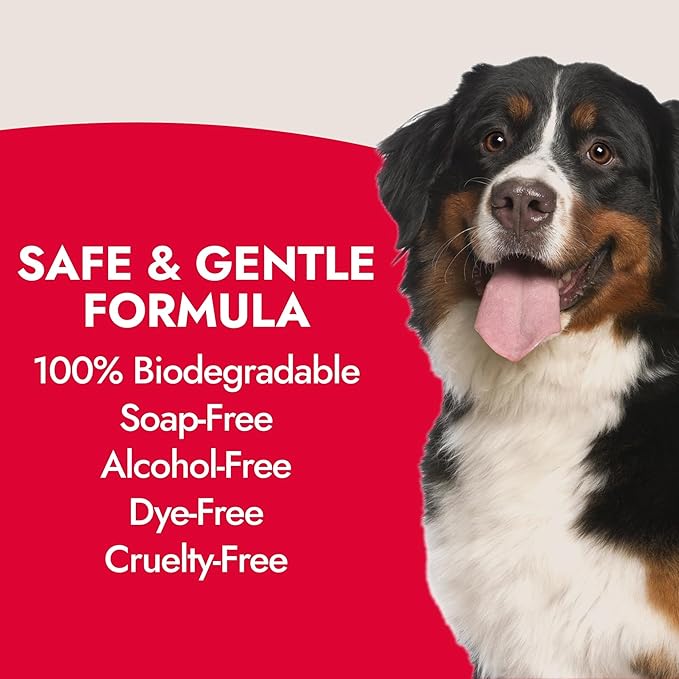 Kong Detangler Spray for Dogs – Cucumber Melon Scent, 16 fl oz – Loosens Knots, Softens & Smooths Coats, Biodegradable, Alcohol-Free, Dye-Free, Cruelty-Free, for Sensitive Skin, Made in USA