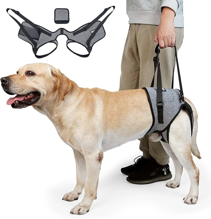 Dog Lift Harness, Dog Sling for Medium Large Dogs, Adjustable Dog Support Harness for Back Legs, Comfy Design Pet Harness with Padded for Elderly, Injured, Arthritic, Senior, Disabled Dogs