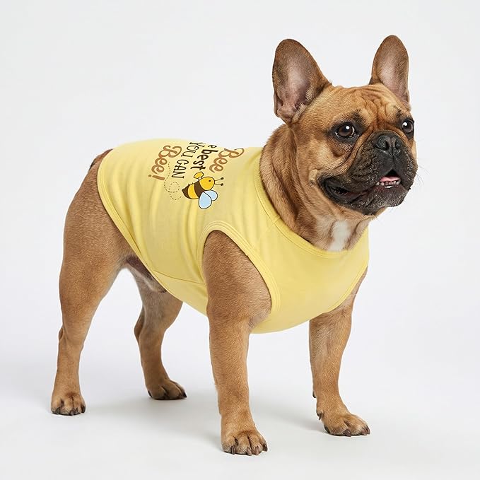 Fitwarm Bee The Best You Can Dog Shirt, Summer Clothes for Small Dogs Boy Girl, Funny Pet Outfit, Yellow, Brown, Blue, Small