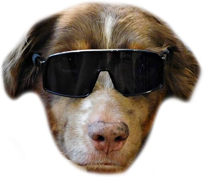 G010 Dog Pet Turbo Sports Sunglasses Medium Breeds 20-40 lbs (Sports Turbo Black)