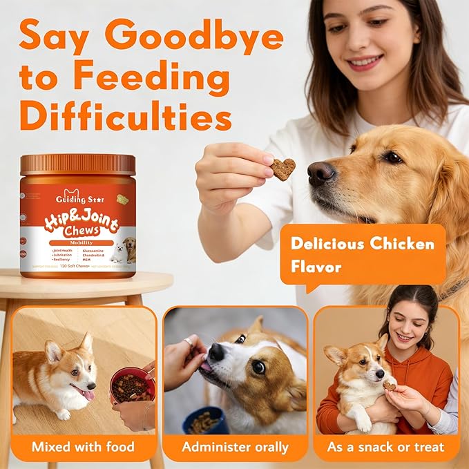 Hip and Joint Supplement for Dogs Glucosamine for Dogs, Mobility, Flexibility & Comfort Support, Hip and Joint Supplement with Chondroitin, MSM, Vitamins C & E, 120 Chews Chicken Flavored