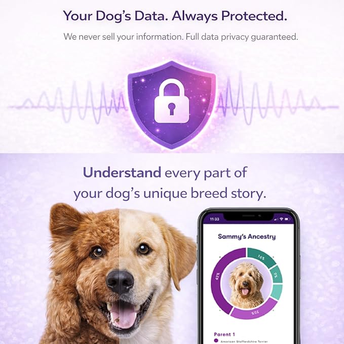 ORIVET Dog DNA Test Kit – Comprehensive Dog DNA Test Kit for 365+ Breed Identification & 330+ Health Markers | At Home Dog DNA Kit with Canine Genetic Testing & Life Plan Genopet Plus
