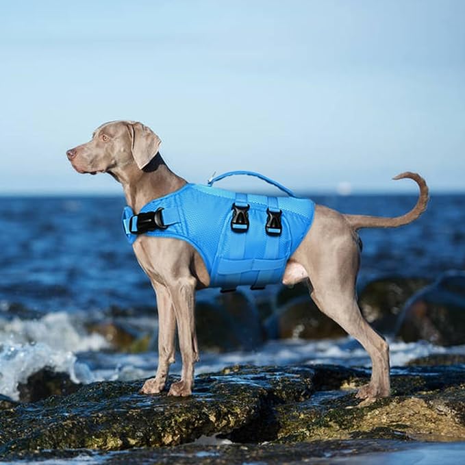 Kuoser Dog Life Jacket, High Flotation Dog Water Vest for Swimming Boating, Reflective Doggie Swimming Vest Pet Life Preserver with Rescue Handle, Blue S