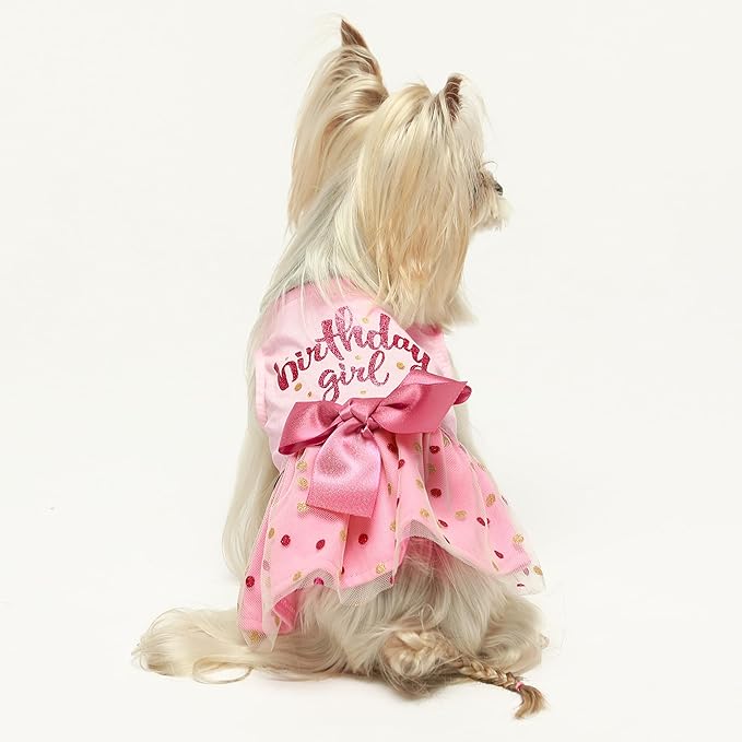 Fitwarm Birthday Girl Dog Tulle Dress, Dog Clothes for Small Dogs Girl, Chihuahua Apparel, Pink, X-Small