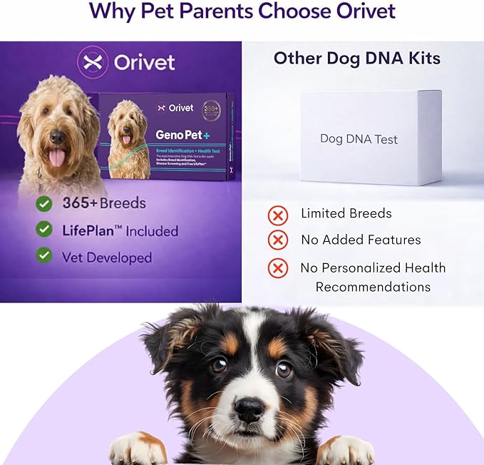 ORIVET Dog DNA Test Kit – Comprehensive Dog DNA Test Kit for 365+ Breed Identification & 330+ Health Markers | At Home Dog DNA Kit with Canine Genetic Testing & Life Plan Genopet Plus