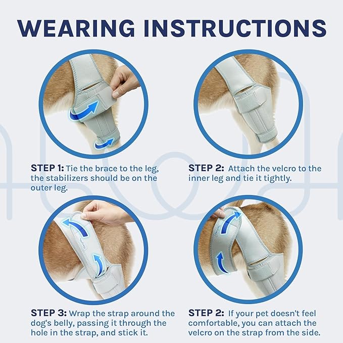 Dog Knee Brace for Torn ACL – Rear Leg Support for Ligament Injuries and Joint Pain Relief, Size: Large(10.2-13.3)