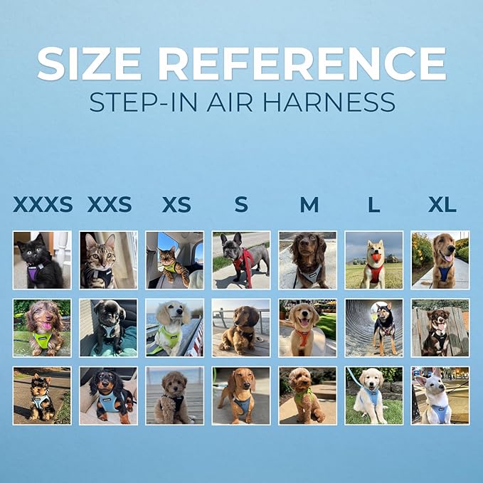 Best Pet Supplies Voyager Step-in Air Harness - All Weather Mesh, Reflective, No Pull Harness for Dogs, Cats - Secure with Hook & Loop Fastener, Buckle, Double D-Rings - Royal Blue, M
