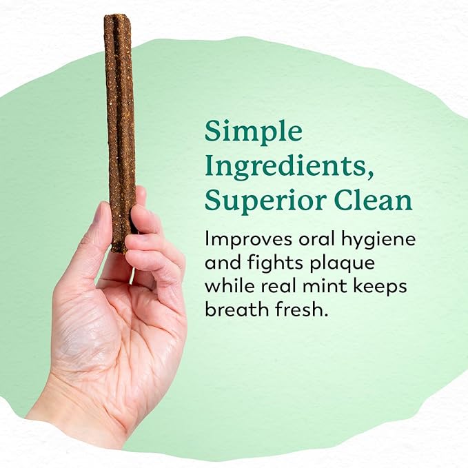 Dr. Harvey's Holistix Dental Chews for Dogs - Dog Teeth Cleaning & Fresh Breath Treats, Sweet Potato Mint (24 Sticks)