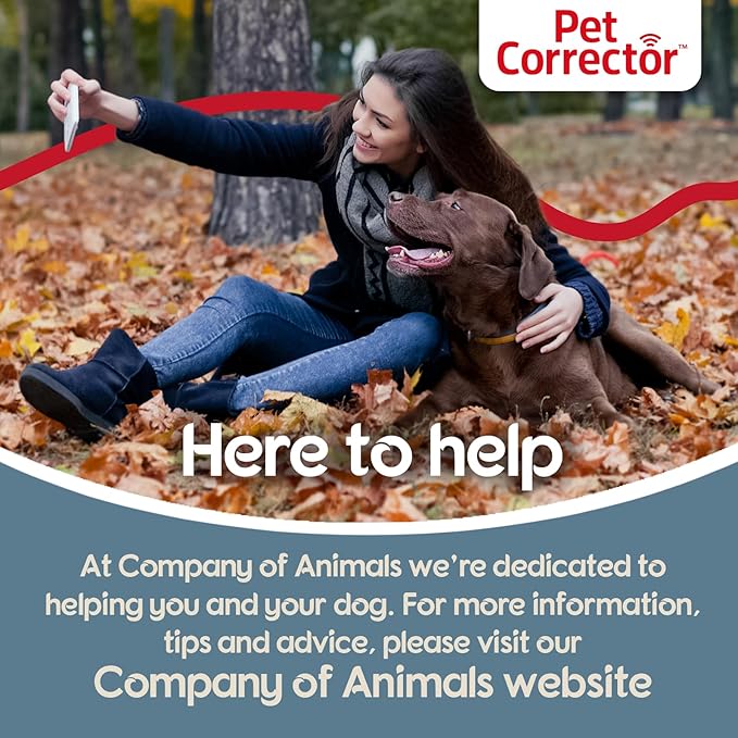 PET CORRECTOR Dog Trainer, 50ml. 4 Pack- Stops Barking, Jumping Up, Place Avoidance, Food Stealing, Dog Fights & Attacks. Help stop unwanted dog behaviour. Easy to use, safe, humane and effective.