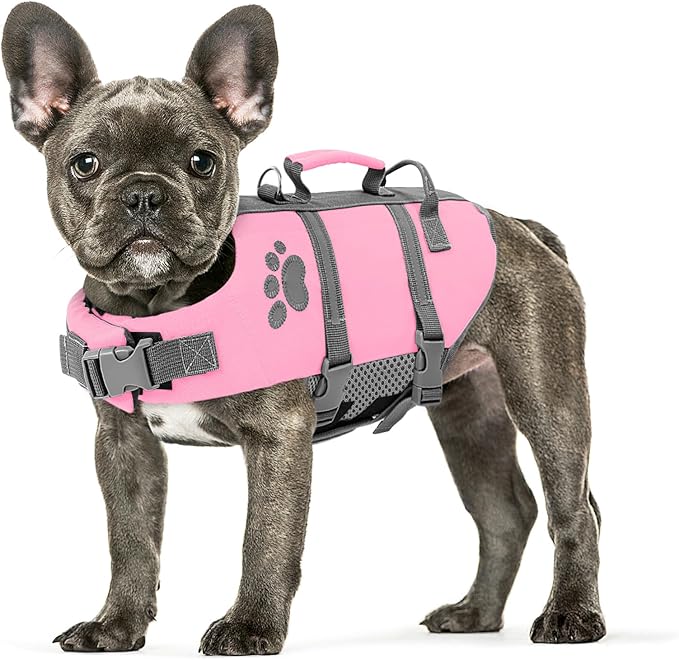 Queenmore Small Dog Life Jacket, Ripstop Dog Life Vest, Small Dog Life Vests for Swimming, Safety Dog Swimming Vest with Handle, Dog Life Vest for Boating with Hook Pet Life Jacket for Swim Water Pool
