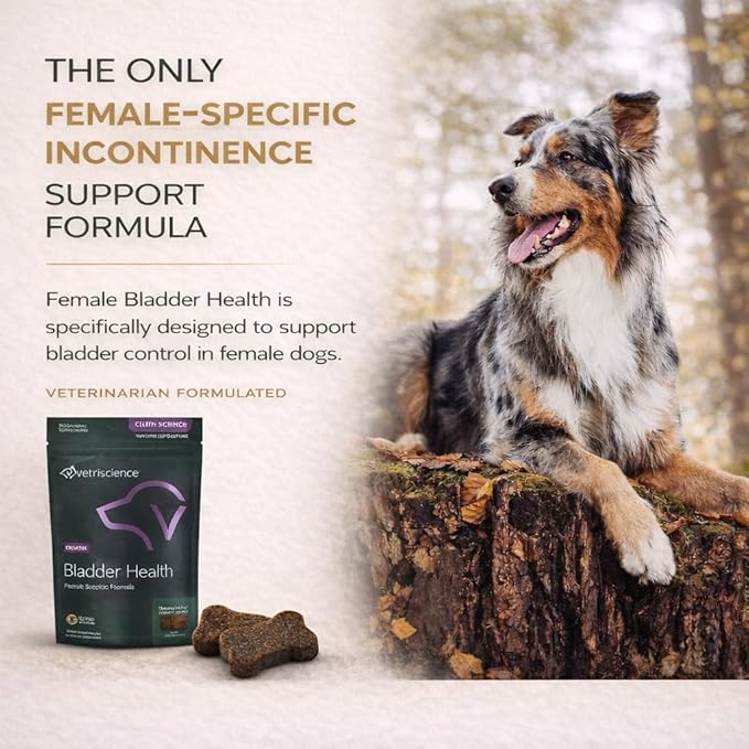 VETRISCIENCE Bladder Health Chews, Vetri Bladder Supplement for Dogs, Incontinence Support, Reduce Urine Leakage, Soy Protein and Red Clover, Chicken, 60 Count