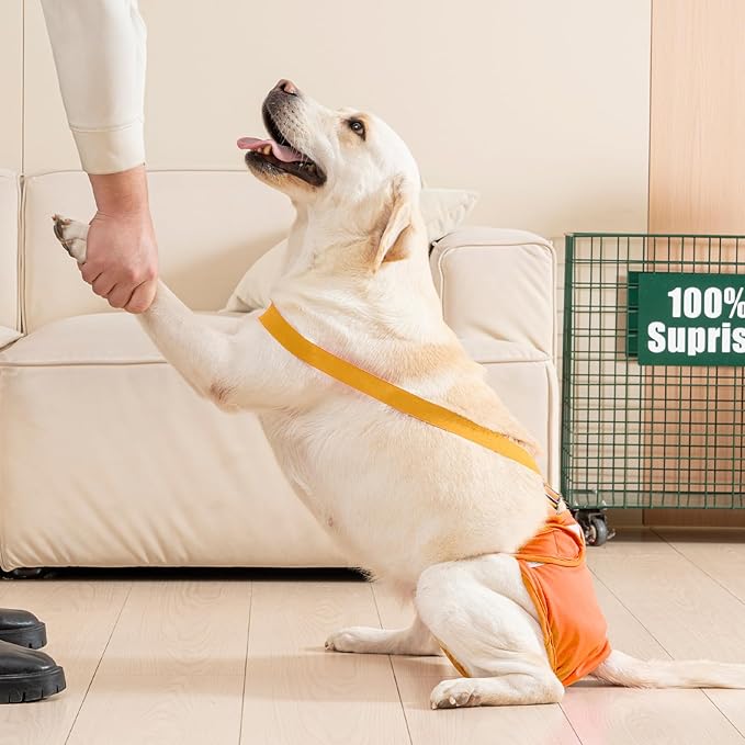 3 Pack Avont Washable Female Dog Diaper with Suspender, Reusable Girl Doggie Diapers for Small Medium Large Doggy in Heat Cycle Period Incontinence -M Blue/Orange/Grey
