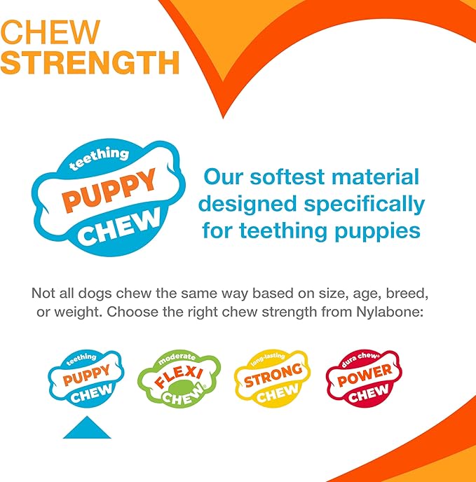 Nylabone Holiday Edition Puppy Starter Kit, 2 Teething Toys and 1 Natural Treat for Puppies, Chicken & Bacon Flavor, Small - Up to 25 lbs, 3 Pack