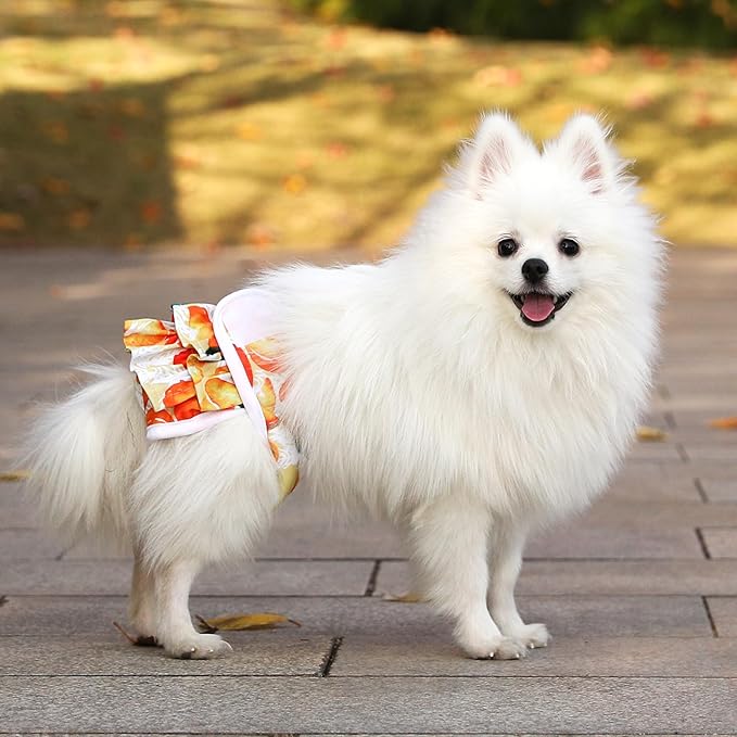 Dog Diapers Female Washable (3 Pack), Dog Period Diapers Female Doggie Diapers Puppy Diapers Highly Absorbent Female Dog Diapers for Heat, Incontinence, Excitable Urination,L