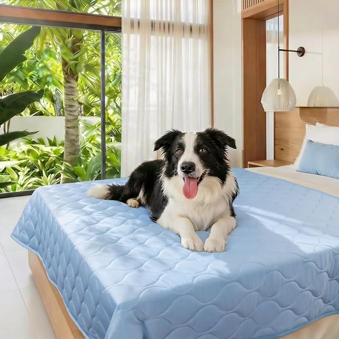 Luciphia Waterproof Cooling Mat for Dogs Couch Cover Q-MAX>0.5, Leakproof Pet Pad Non-Slip Throw Blanket for Cat Puppy Crate Bed Protector Outdoor (Light Blue, 60x80 inches)