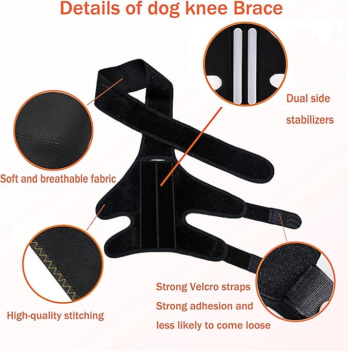 Dog Knee Support for Cruciate Injury – Flexible Stabilizer with Adjustable Straps, Breathable Neoprene, 4-Leg Universal Fit (Front/Hind, Left/Right), Ideal for Post-Op Healing (M)
