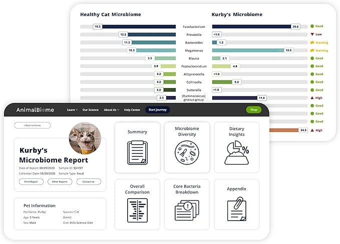 AnimalBiome Cat Gut Health Test – KittyBiome At Home Stool Testing Kit, Feline Fecal Analysis for Digestive Issues, Diarrhea & Allergy Insights w/Personalized Report & Custom Plan (Cats Outside US)