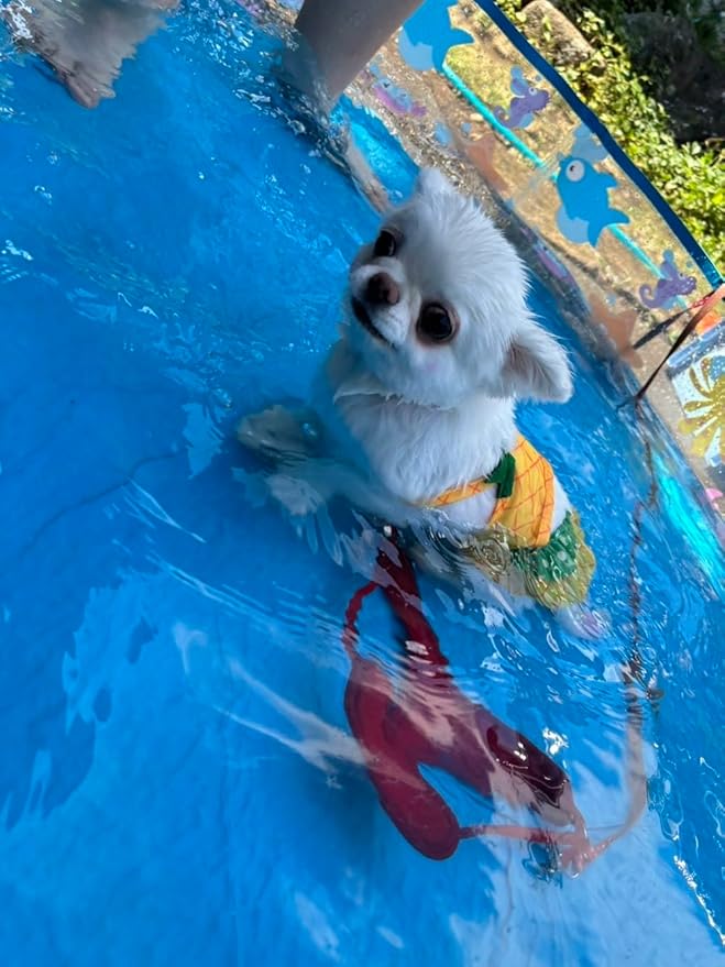 Funny Dog Swimwear Bikini Summer Dog Clothes Beach Swimsuit Puppy Bathing Suit Puppy Vest Cooling Pet Shirt for Small Dogs, Cat Apparel (Small, Yellow Pineapple)