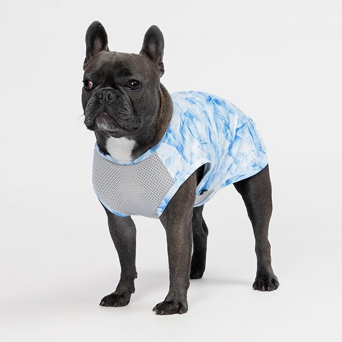 Fitwarm 2 Pack Ice Lemon UPF 50+ UV Sun Protection Dog Shirt, Lightweight Dog Cooling Vest, Quick Dry Summer Clothes for Small Dogs Boy Girl, Pet Outfit, Blue, Yellow, White, XXL