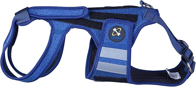 Coodeo Dog Back Brace for Dogs Arthritis, Pet Back Bracer for IVDD, Back Protector Helps Pain Relief, Surgical Recovery and Rehabilitation, Dogs Back Disease Prevention. (Blue,X-Large)