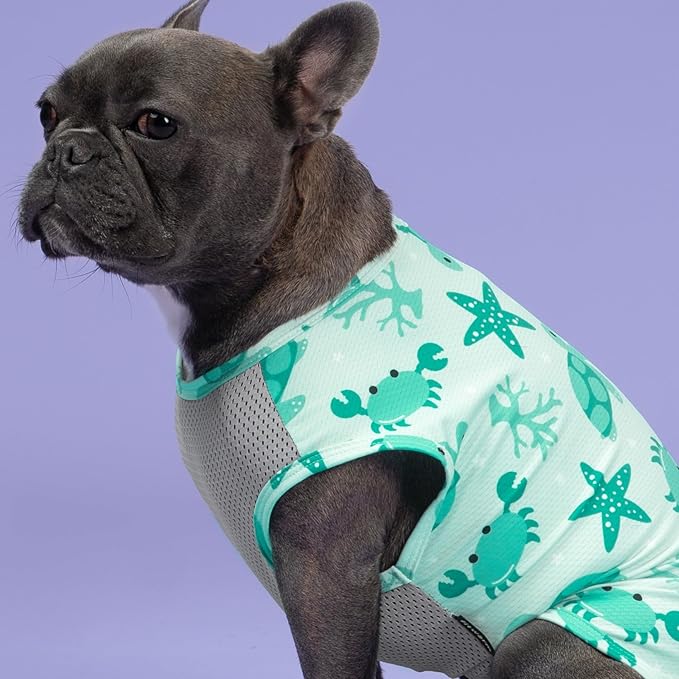 Fitwarm 2 Pack Marine UPF 50+ UV Sun Protection Dog Shirt, Lightweight Cooling Vest, Quick Dry Summer Clothes for Small Dogs Boy Girl, Pet Outfit, Sky Blue, Mint Green, XS