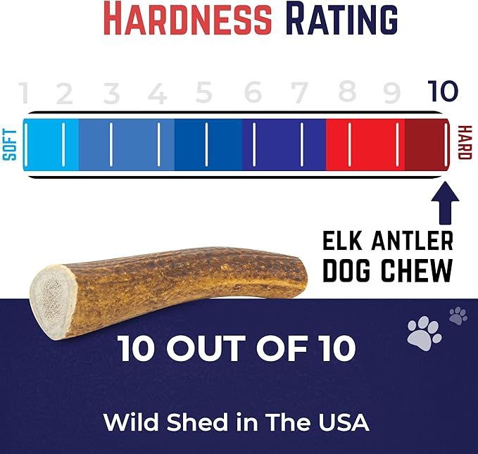 Devil Dog Pet Co - Elk Antler for Dogs Monster 12.5 oz Min - Long Lasting Dog Chew for XL & Giant Breed Power Chewers - Naturally Shed Grade A Rocky Mountain Elk, Anxiety & Boredom Relief (90+ lbs)