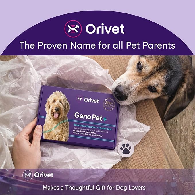 ORIVET Dog DNA Test Kit – Comprehensive Dog DNA Test Kit for 365+ Breed Identification & 330+ Health Markers | At Home Dog DNA Kit with Canine Genetic Testing & Life Plan Genopet Plus