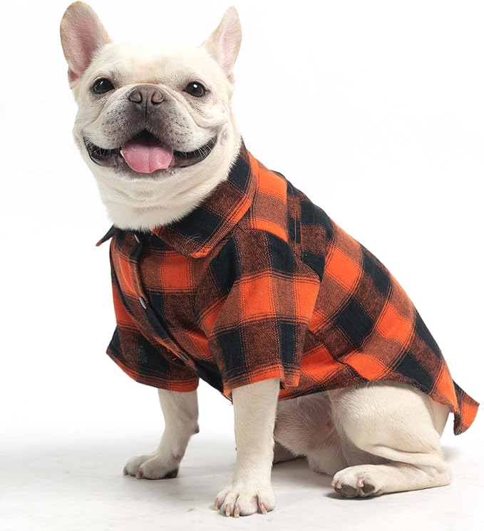 KOOLTAIL Fall Dog Shirt, Thanksgiving Orange Plaid Pet Shirts, Cute Dog Apparel Clothes Suitable for All Seasons, Comfortable Dogs T-Shirt for Small Medium Large Dogs Cats, Pet Outfit Costume, L