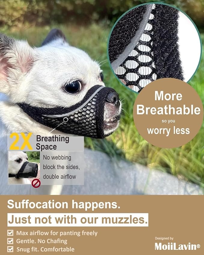 Dog Muzzle for Small Medium Dogs to Prevents Biting for Brachycephalic Dogs, Mini Poodle, Corgi, Short Snout Friendly, Soft Breathable Lightweight Mesh, Open Front, for Grooming Vet Visits (Black, M)