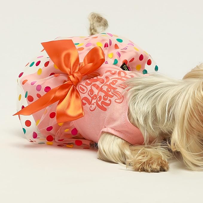 Fitwarm Happy Easter Day Dog Dress 100% Cotton Girl Dog Clothes Easter Bunny Pet Apparel Doggie Tutu with Bowknot Cat Clothing Puppy Dresses Doggy Costume Attire Orange Medium
