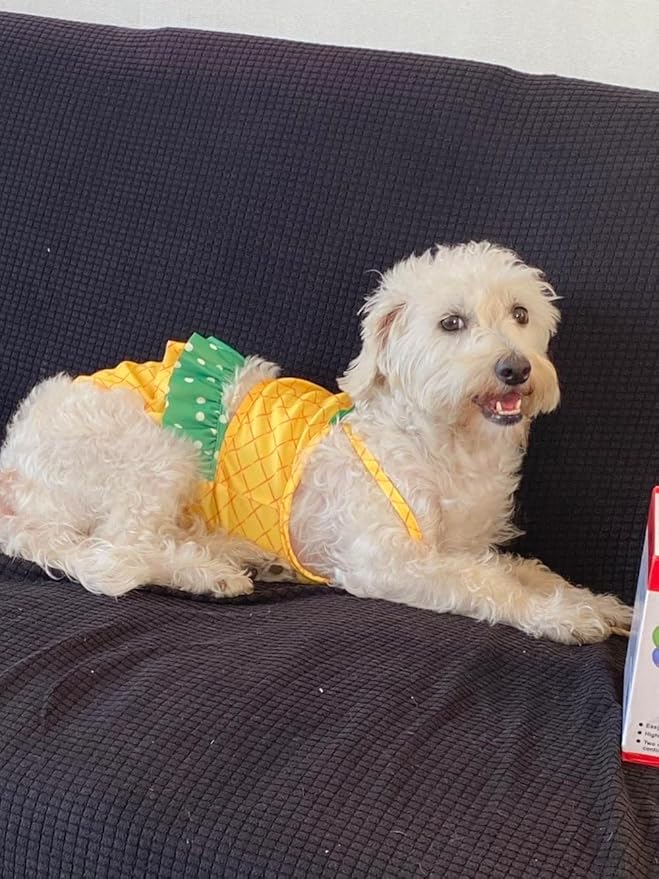 Funny Dog Swimwear Bikini Summer Dog Clothes Beach Swimsuit Puppy Bathing Suit Puppy Vest Cooling Pet Shirt for Small Dogs, Cat Apparel (Small, Yellow Pineapple)