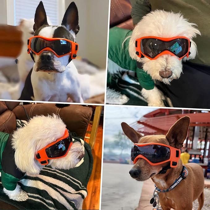 LESYPET Small Dog Sunglasses Dog Goggles UV Wind Dust Protection Pet Sunglasses Eye Protection for Outdoor Riding, Orange M