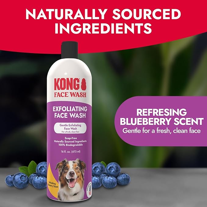Kong Exfoliating Face Wash for Dogs – Gentle Cleanser, Removes Tear Stains & Odors, Blueberry Scent, 16 fl oz – Biodegradable, Hypoallergenic, Soap-Free, Cruelty-Free, for Sensitive Skin, Made in USA