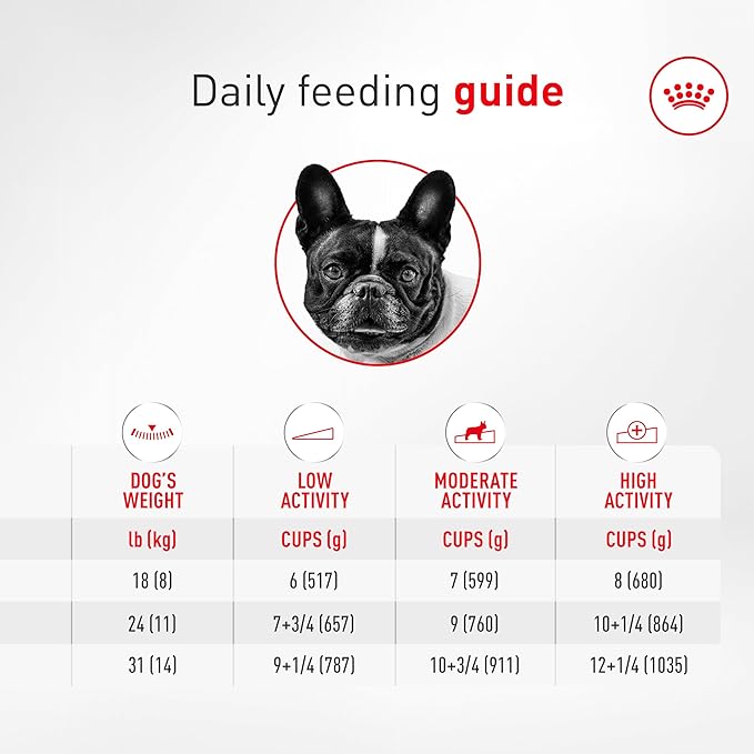 Royal Canin Breed Health Nutrition French Bulldog Wet Dog Food for Adult Dogs, Loaf Wet Food for French Bulldogs 12 Months+, Supports Digestive Health and Bone & Joint Health, Multipack 6 x 3 oz cans