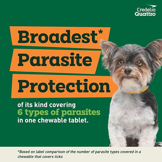 Credelio Quattro Dog Flea & Tick Treatment + Heartworm & Parasite Protection, 3.3-6 lbs (1 Chewable Tablet)