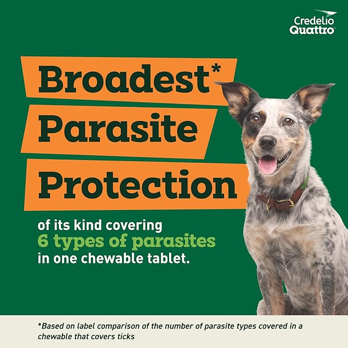 Credelio Quattro Dog Flea & Tick Treatment + Heartworm & Parasite Protection, 25.1-50 lbs (1 Chewable Tablet)