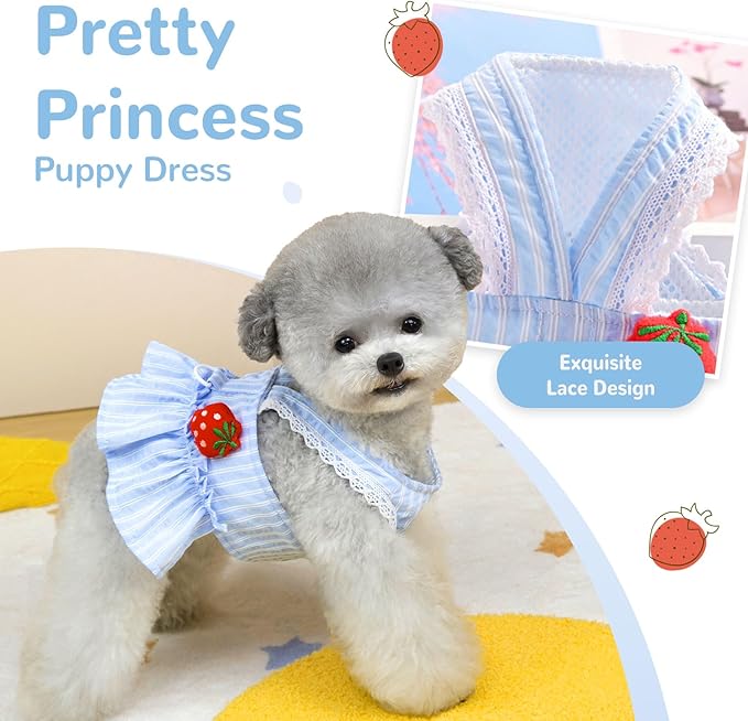 Cute Strawberry Small Dog Dress with D-Ring Princess Lace Girl Female Dog Clothes Spring Summer Breathable Mesh Pet Puppy Cats Harness Dress for Shih Tzu Yorkies Chihuahua(Blue,X-Large)