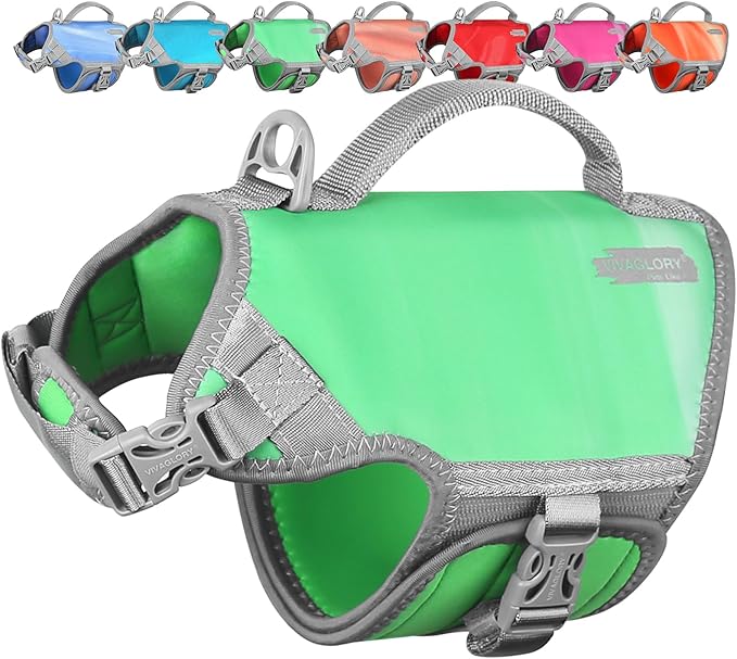 VIVAGLORY Neoprene Dog Life Vest, Dog Life Jacket for Swimming & Boating, Lightweight & Buoyancy for Puppy Doggy, Swimming Vest with Handle, XS, Grape Green