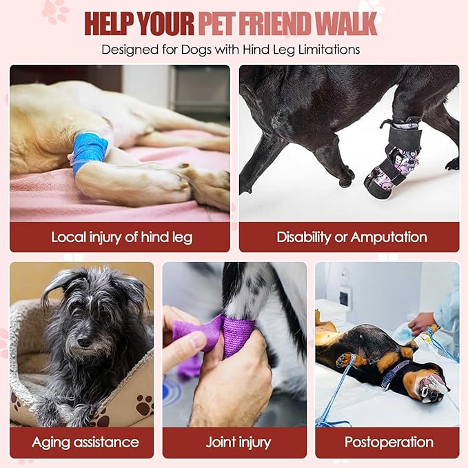 SlowTon Dog Lift Harness - Adjustable Dog Sling for Medium Large Dogs, Hind Leg Support to Help Rehabilitate, Soft Padded Dog Support Harness for Elderly, Injured, Arthritic, Disabled Dogs(R,M)