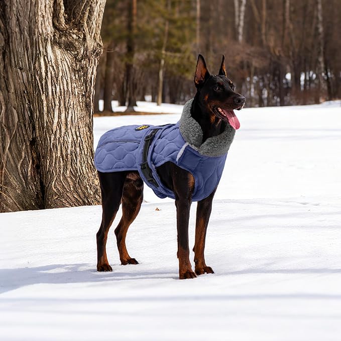Dog Winter Jacket, Adjustable Water-Resistant Dog Warm Coat with Fleece Lining, Windproof Cold Weather Coats for Winter, Reflective Snow Jacket for Labrador Golden Retriever, NewBlue XL