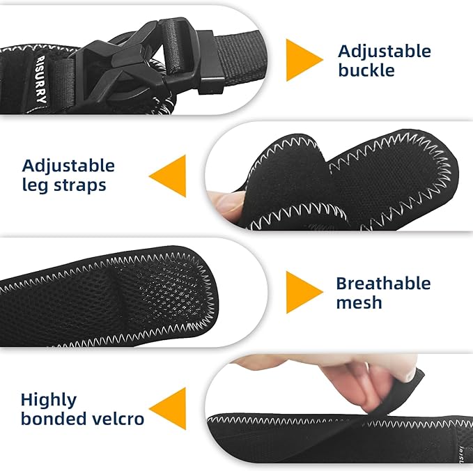 CHAMIN Dog Hip Brace – Support Harness for Hip Dysplasia, Joint Pain Relief, Prevents Hip Joint Issues, Orthopedic Support for Dogs(Large)
