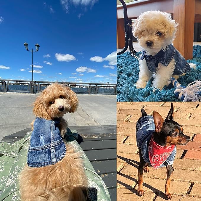 Jean Jacket, Puppy Blue Denim Lapel Vest Coat Costume, Dog T-Shirt Clothes, Cool and Funny Apparel Outfits, Machine Washable Dog Outfits for Small Medium Dogs Cats (M)