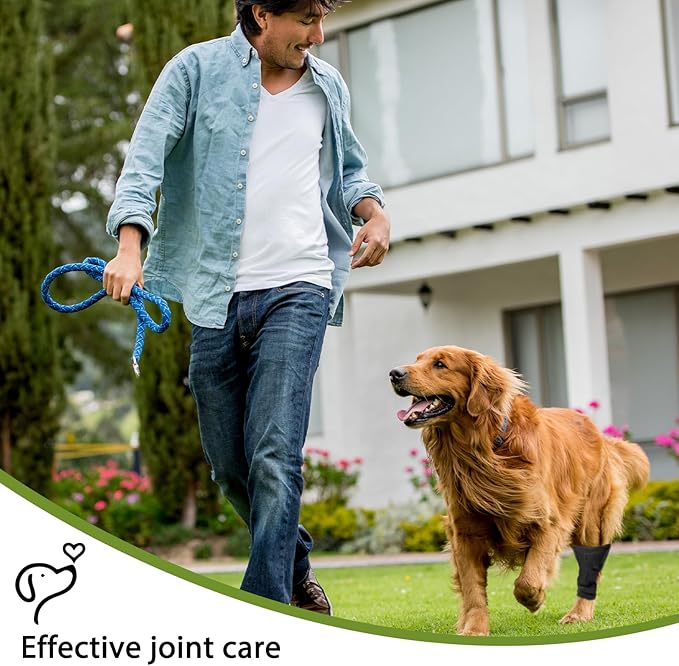 Dog Leg Braces for Rear Leg, Adjustable Dog Leg Sleeve Added Mobility Safety for Active Aging Dogs, Knee Support Straps for Outdoor Adventures Daliy Use Enhanced Stability (L)