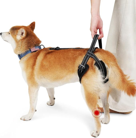 ROZKITCH Pet Dog Support Harness Rear Lifting Harness for Back Legs Reflective Dog Sling Vet Approved for Old Helps with Poor Stability Hind Legs, Joint Injuries Elderly Arthritis ACL Rehab Black M