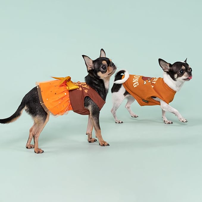 Fitwarm Thanksgiving Fall in Love Dog Dress, Sparkly Dog Clothes for Small Dogs Girl, Holiday Pet Tutu Dress, Cat Outfit, Brown, Orange, Small