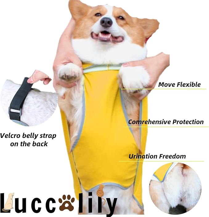 Dog Poncho Hooded Raincoat for Puppies & Small to Large Dogs, Reflective Strips for Night Safety, Lightweight & Adjustable Fit (Large, Yellow)