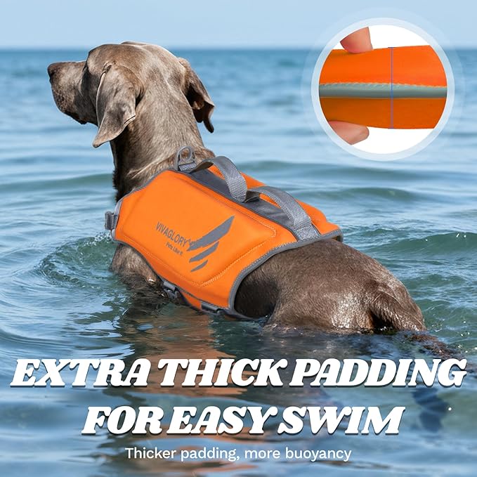VIVAGLORY High Buoyancy Dog Life Vest, Swimming Vest with Handle, Dog Life Jacket for Swimming & Boating, Buoyancy for Puppy Doggy, L, Orange