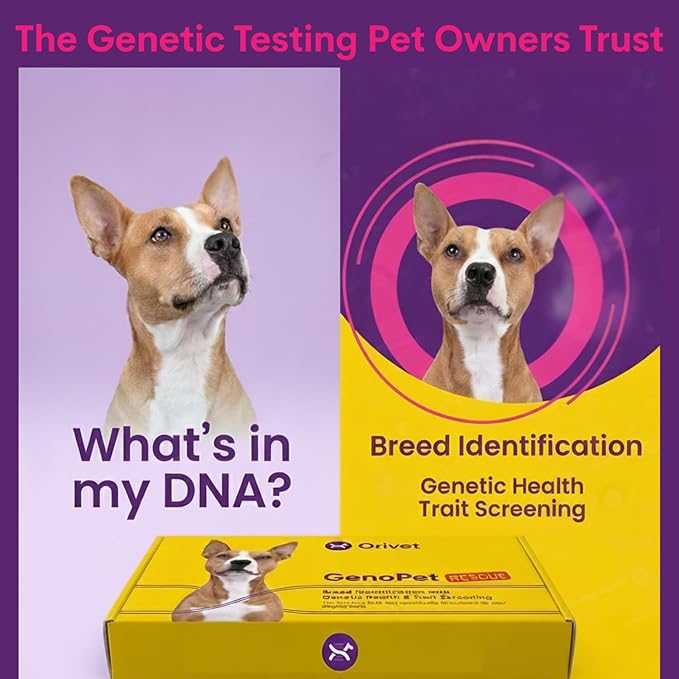 ORIVET Dog DNA Test Kit – Comprehensive Dog DNA Test Kit for 365+ Breed Identification & 265 Health Markers | At Home Dog DNA Kit with Canine Genetic Testing & Life Plan Genopet Rescue